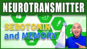 Medical Terminology Neurotransmitter SEROTONIN AND MEMORY