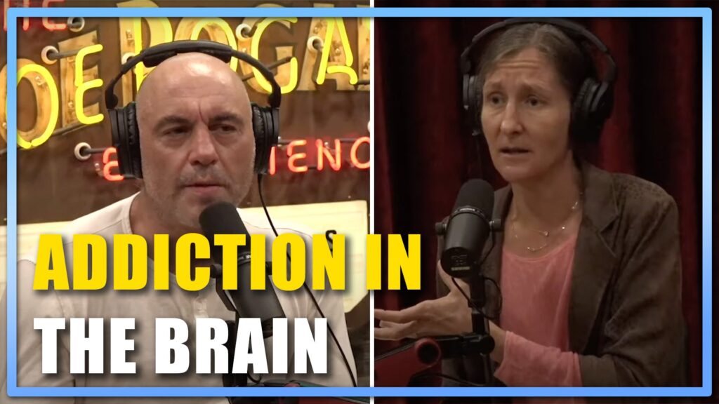 What Happens in the Brain During Addiction Joe Rogan w Anna Lembke