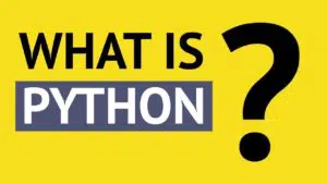 Mosh answer the Top 3 questions, The meaning of Python, What can you do with it and Why Python is so popular.
