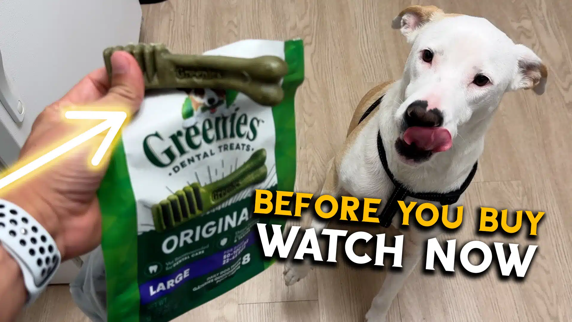Greenies for Dogs Large Dental Chew Treats for Pets Teeth