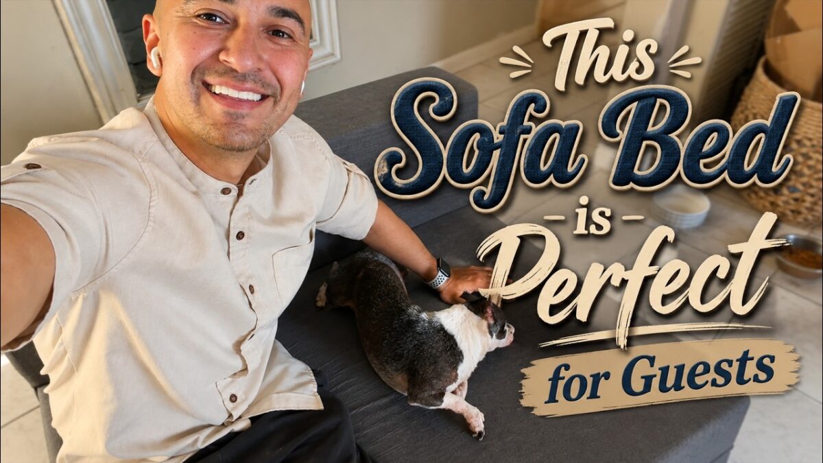 Folding Sofa Bed review
