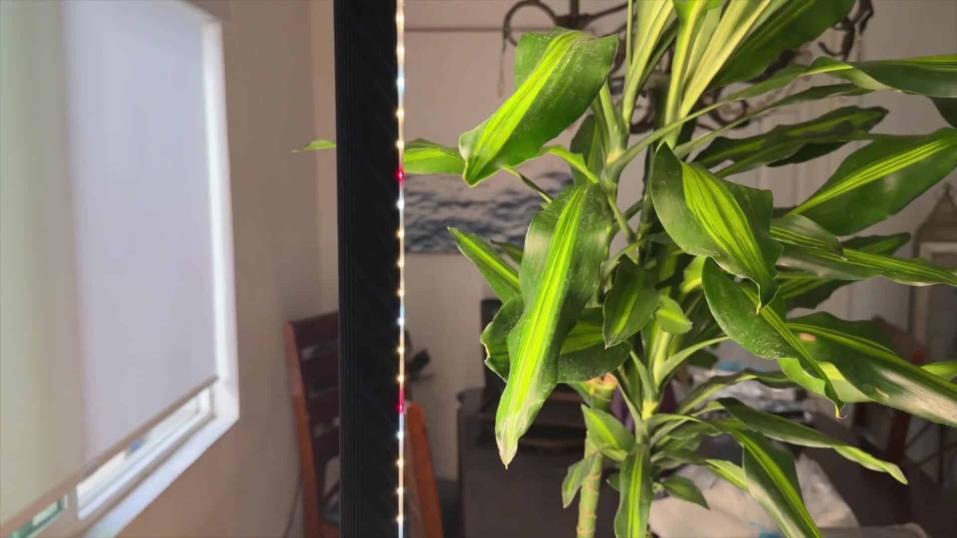 JESLED floor plant light casting side light onto long green corn plant leaves indoors