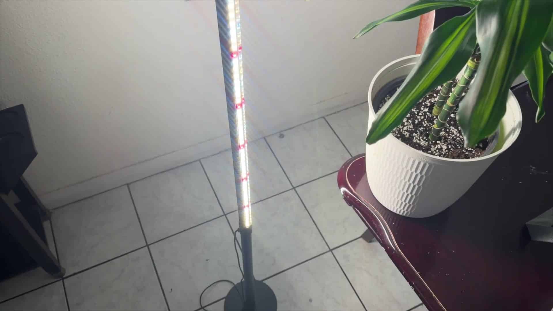 Full view of the JESLED floor grow light standing on a tiled floor next to a potted corn plant on a wood table