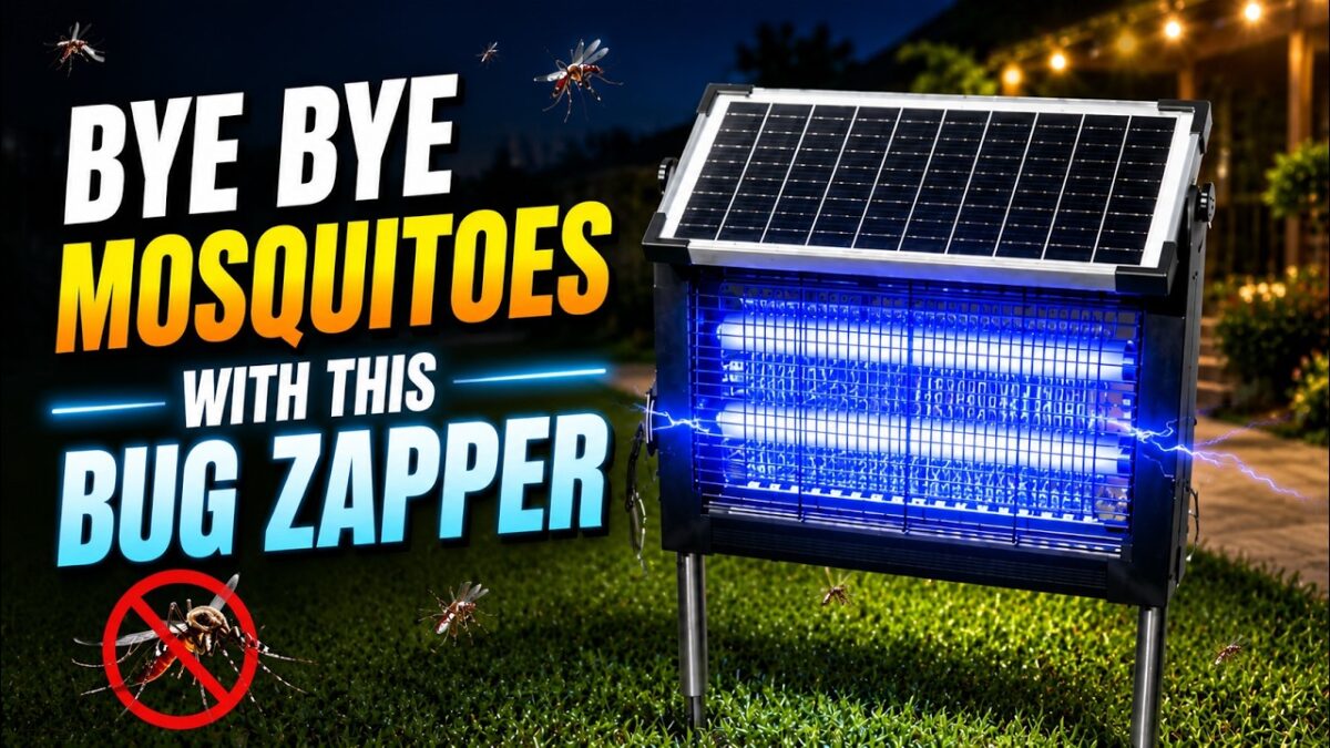 Solar bug zapper review